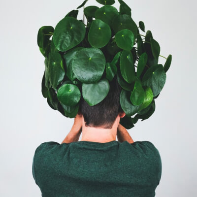 Sobre Nós Plants Store Gallery Img 3